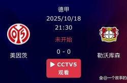 开云体育在线-美因茨主场大胜，德甲保级希望增大的简单介绍