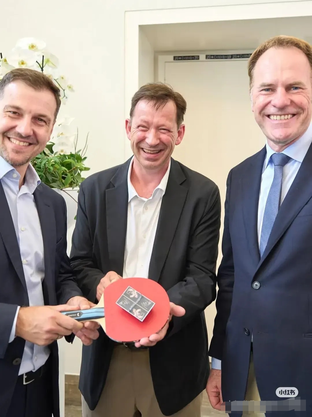 瑞典乒乓球队险胜奥地利乒乓球队，波尔惊艳世界的简单介绍