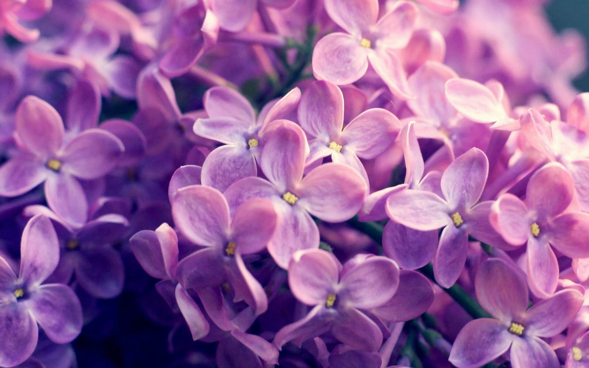 意甲焦点战之夜,巴斯托尼如何以一己之力主宰比赛走向