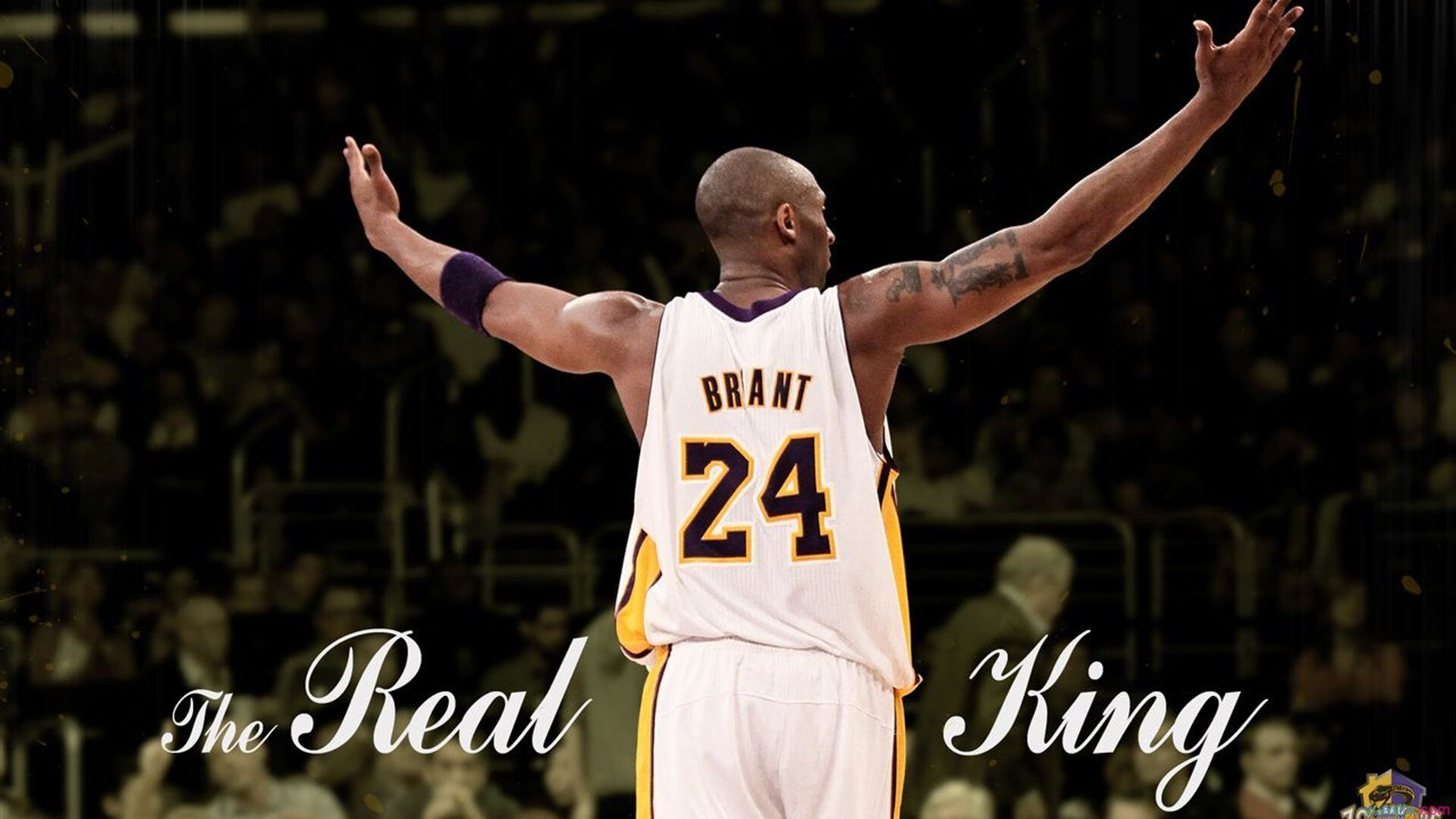 冰与火的边界,当冰岛遇见新西兰,恩佐如何用存在感重写足球叙事