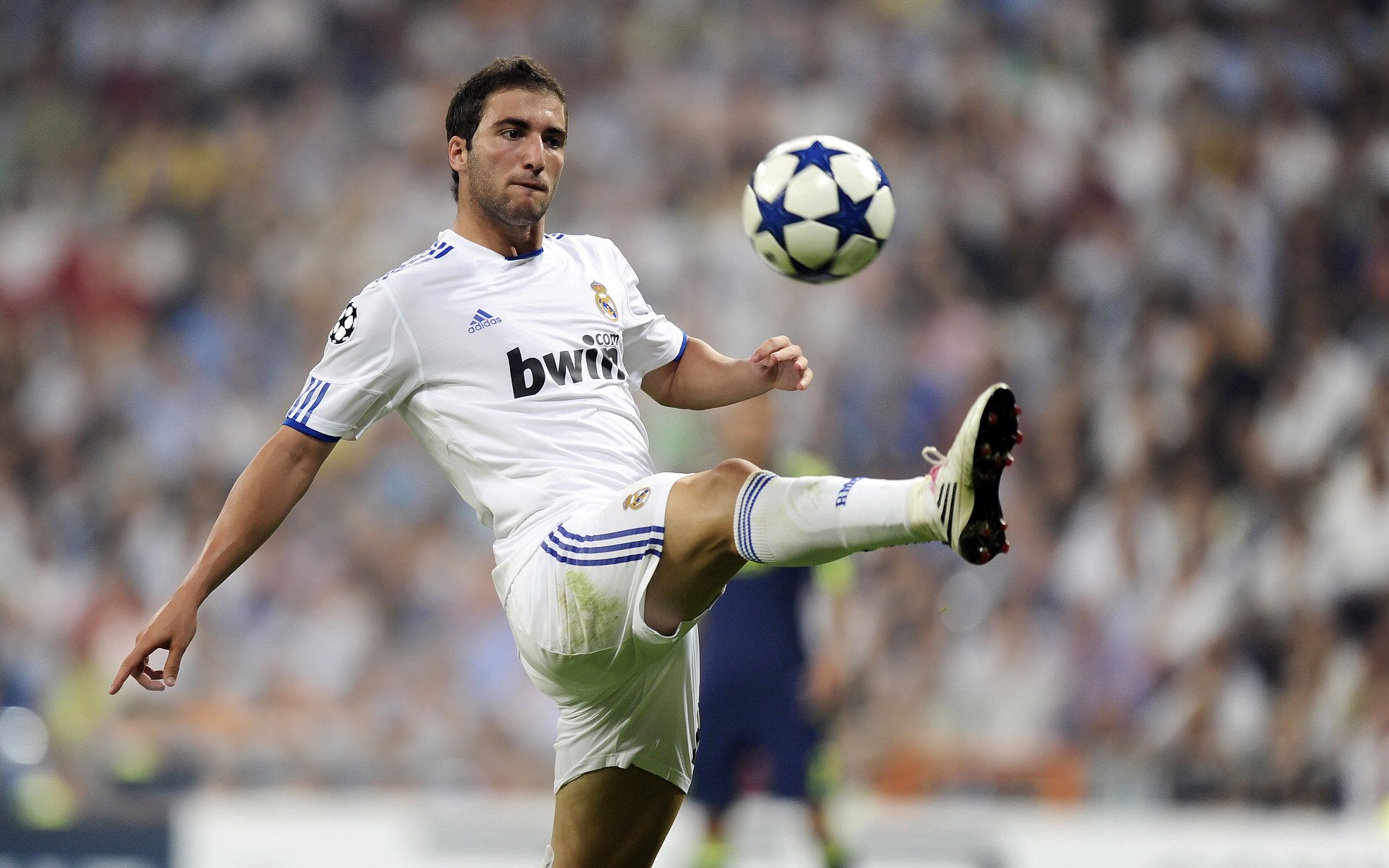 F1街道赛焦点战，魔术一波带走森林狼